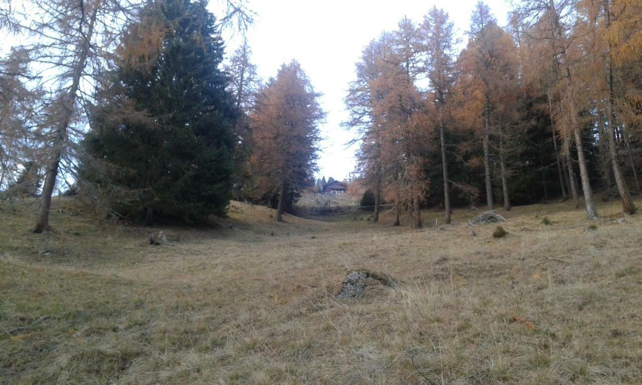 ThurnUnterniggleralmアパートメント エクステリア 写真